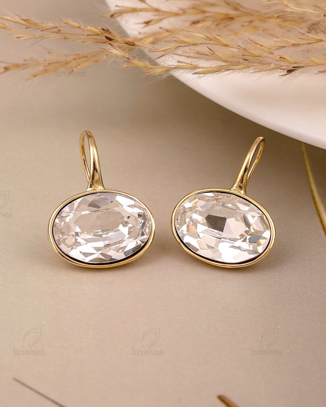 Carina Fashionable Hoop Earrings